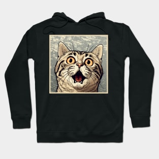 Shocked Cat Cartoon Vintage Cartoon Cat Crazy Hoodie